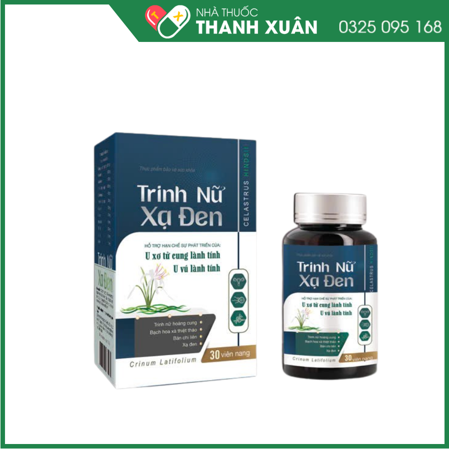 Trinh Nữ Xạ Đen - Giảm sự phát triển của u xơ tử cung lành tính, u vú lành tính